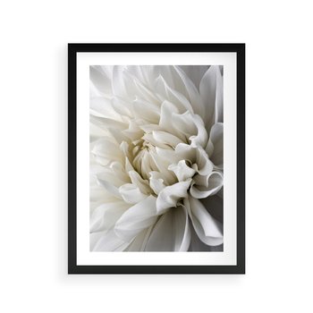 Plakat w ramie 30x40 - Białe Kwiaty Delikatności - białe, kwiaty - rama czarna
