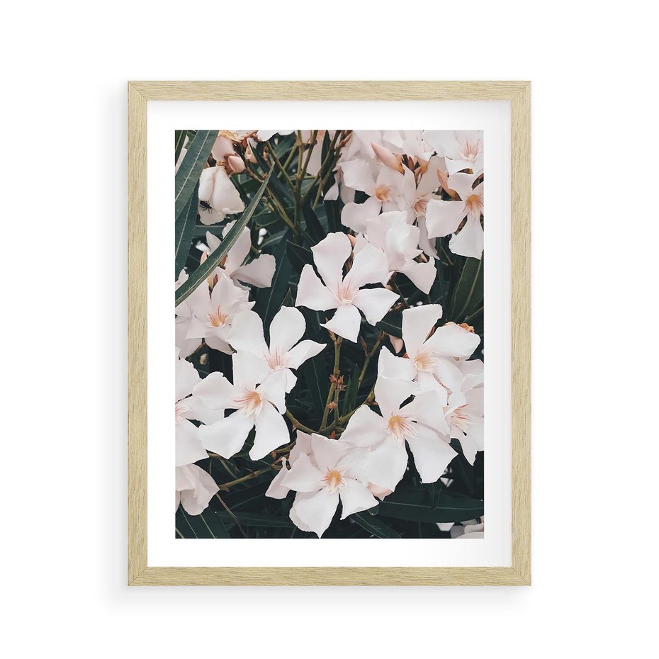 Plakat w ramie 40x50 - Egzotyczna Uroda - białe kwiaty, tropikalne kwiaty - rama drewno