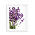 Plakat w ramie 40x50 - Pola lawendy w pełnym rozkwicie - lawenda, kwiaty - rama biała
