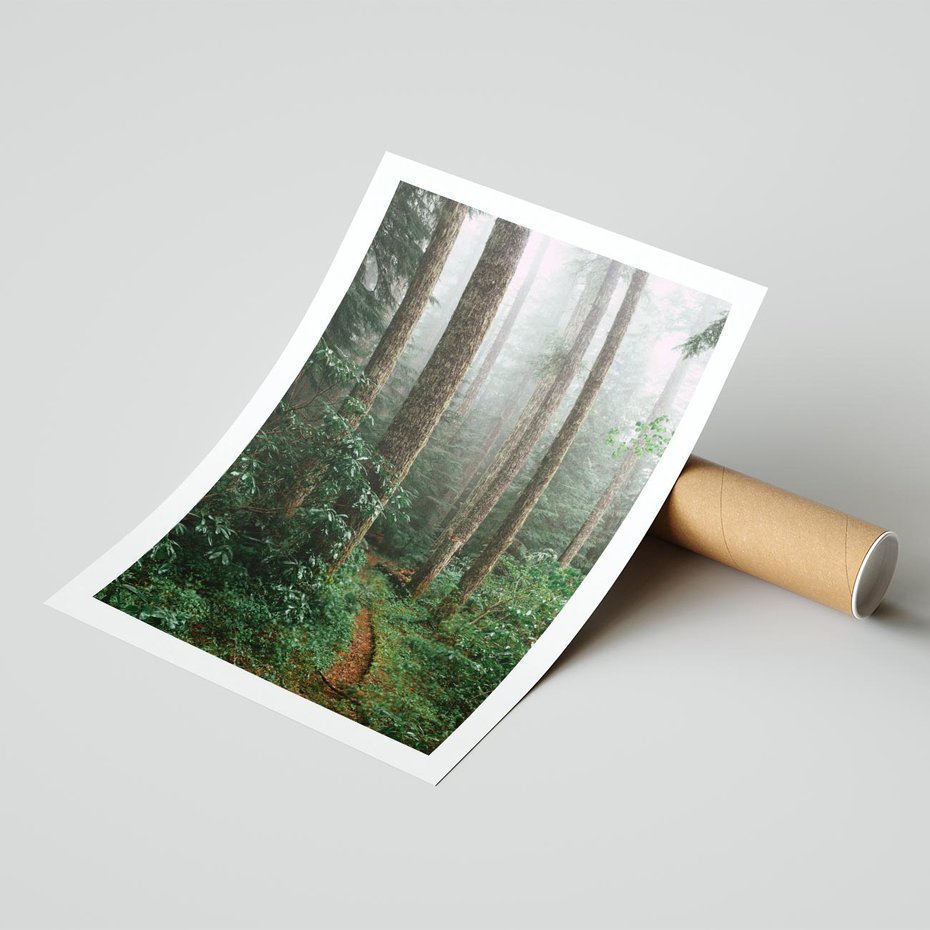 Plakat bez ramy 50x70 - Mgliste Marzenia - artystyczna fotografia, las