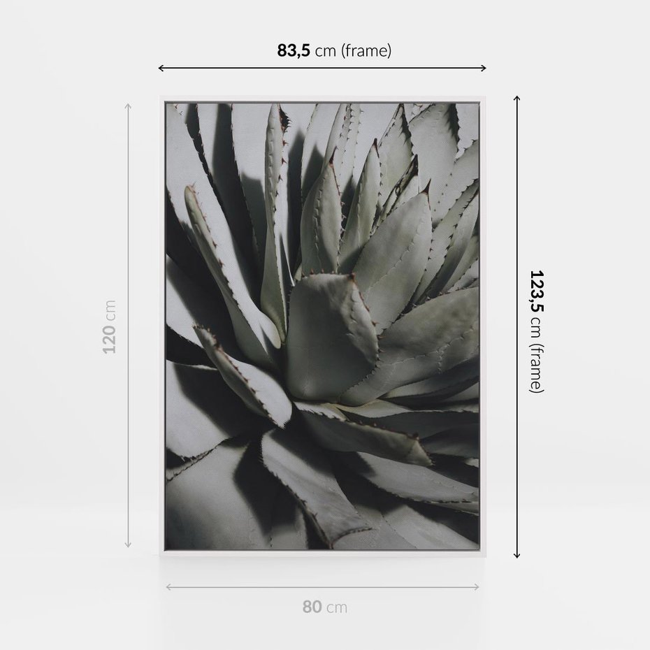 Obraz w ramie 80x120 - Sukulenty wśród kaktusów - sukulenty, kaktusy - rama biała