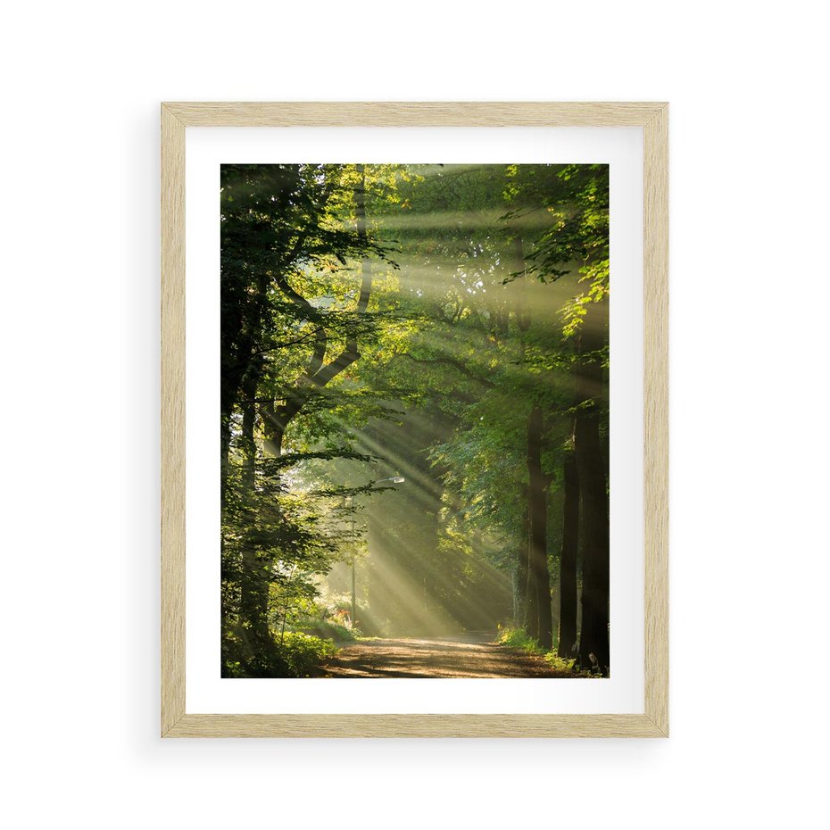 Plakat w ramie 40x50 - harmonia natury - las, drzewa - rama drewno
