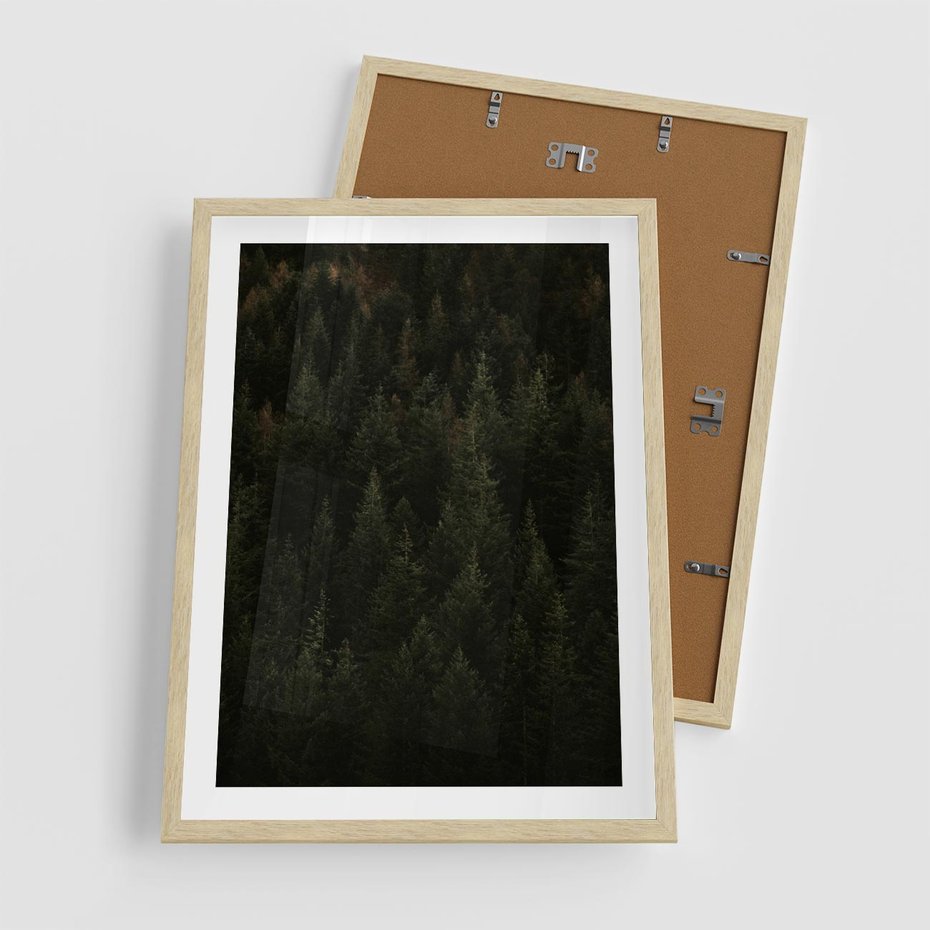 Plakat w ramie 50x70 - Ciemny las iglasty - las, iglasty - rama drewno