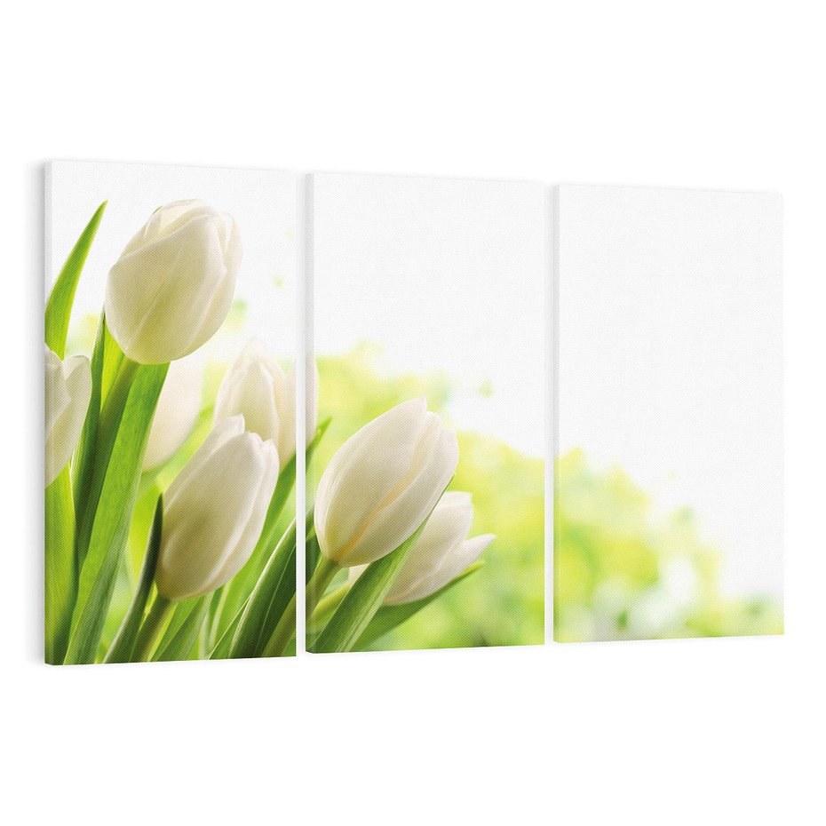 Obraz na płótnie 120x80 - delikatność kwiatów - tulipany, kwiat