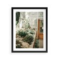 Plakat w ramie 40x50 - Sukulenty w Szklarni - sukulenty, w szklarni - rama czarna
