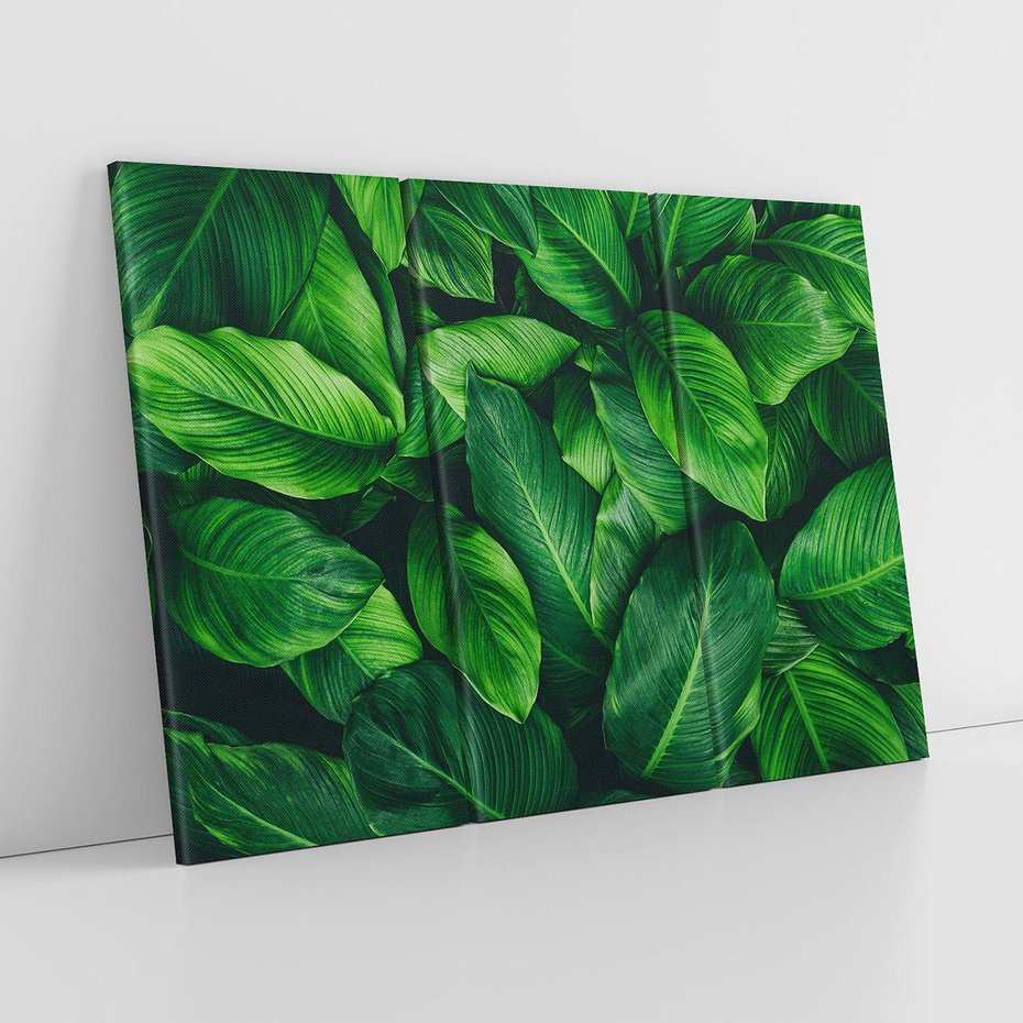 Obraz na płótnie 120x80 - Palma Liście Kwiat - palma, liście