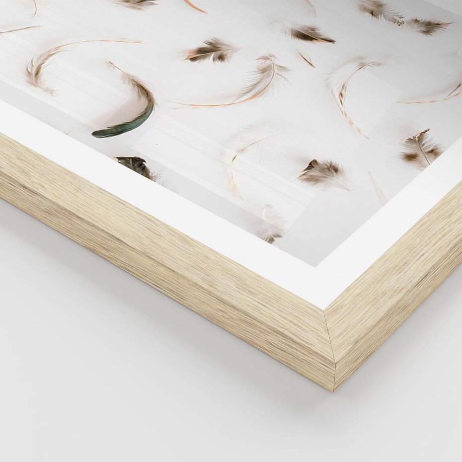 Plakat w ramie 50x70 - Kompozycja z Piór - pióra, kompozycja - rama drewno