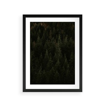 Plakat w ramie 40x50 - Ciemny las iglasty - las, iglasty - rama czarna