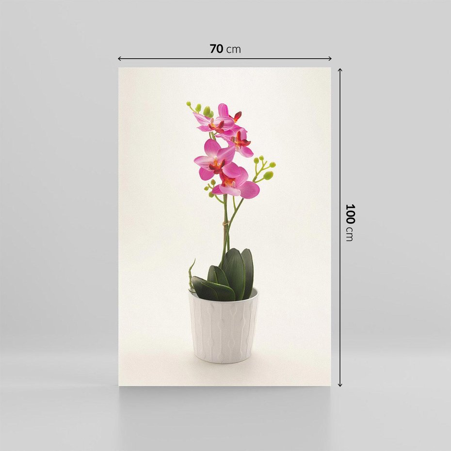 Obraz na płótnie 70x100 - Delikatność storczyka orchidei - storczyk, orchidea