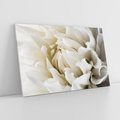 Obraz na płótnie 100x70 - Białe Kwiaty Delikatności - białe, kwiaty