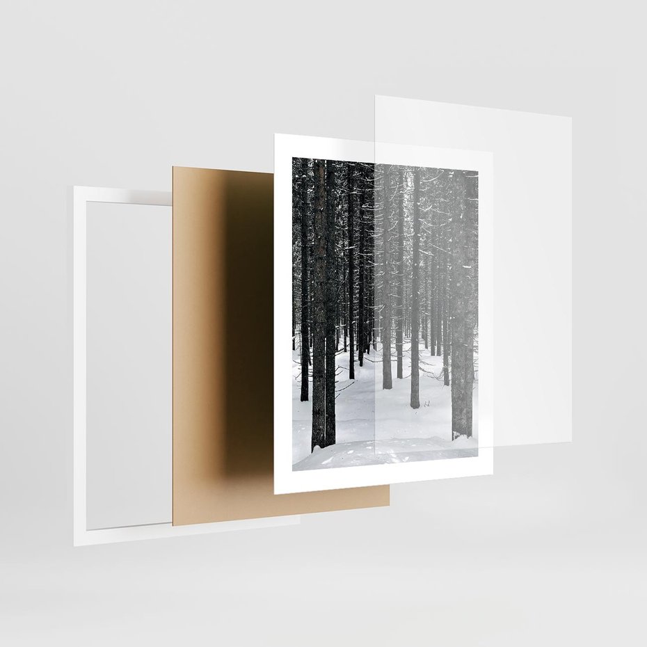 Plakat w ramie 40x50 - Zimowe Drzewa: Śnieg na Pniach - drzew w zimi, pnie drzew - rama biała