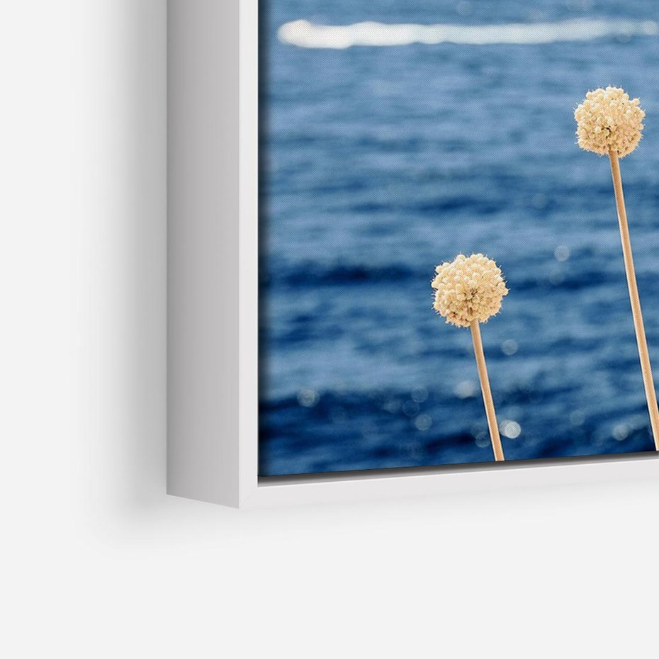 Obraz w ramie 70x50 - Kontrasty Natury - fotografia, pierwszy plan sucha roślinność - rama biała