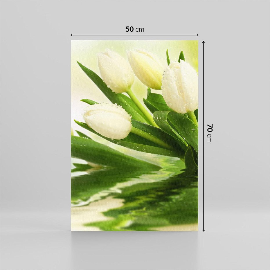 Obraz na płótnie 50x70 - Białe Piękno - białe, tulipany