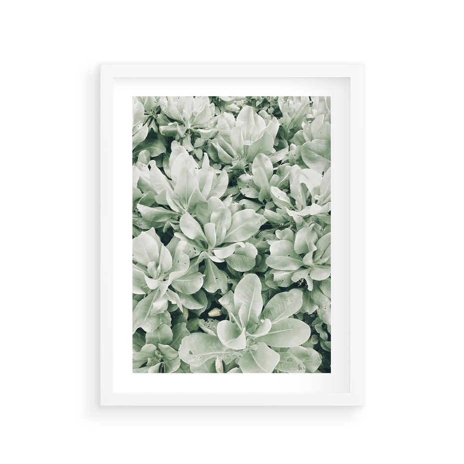 Plakat w ramie 30x40 - Liście w Jasnych Odcieniach Zielonego - liście, jasna zieleń fotografia - rama biała