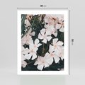 Plakat bez ramy 40x50 - Egzotyczna Uroda - białe kwiaty, tropikalne kwiaty