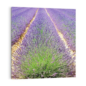 Obraz na płótnie 30x30 - Lawendowy kwiat - lawenda, kwiat