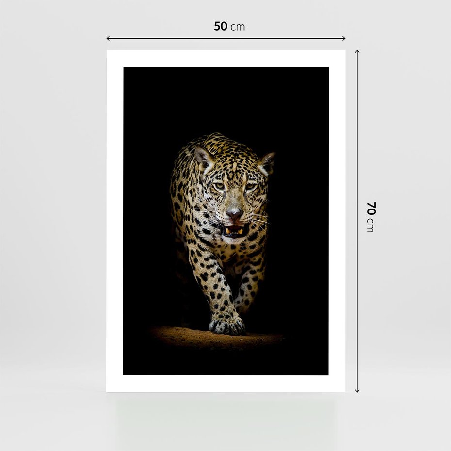 Plakat bez ramy 50x70 - Elegancja lamparta - lampart, pantera