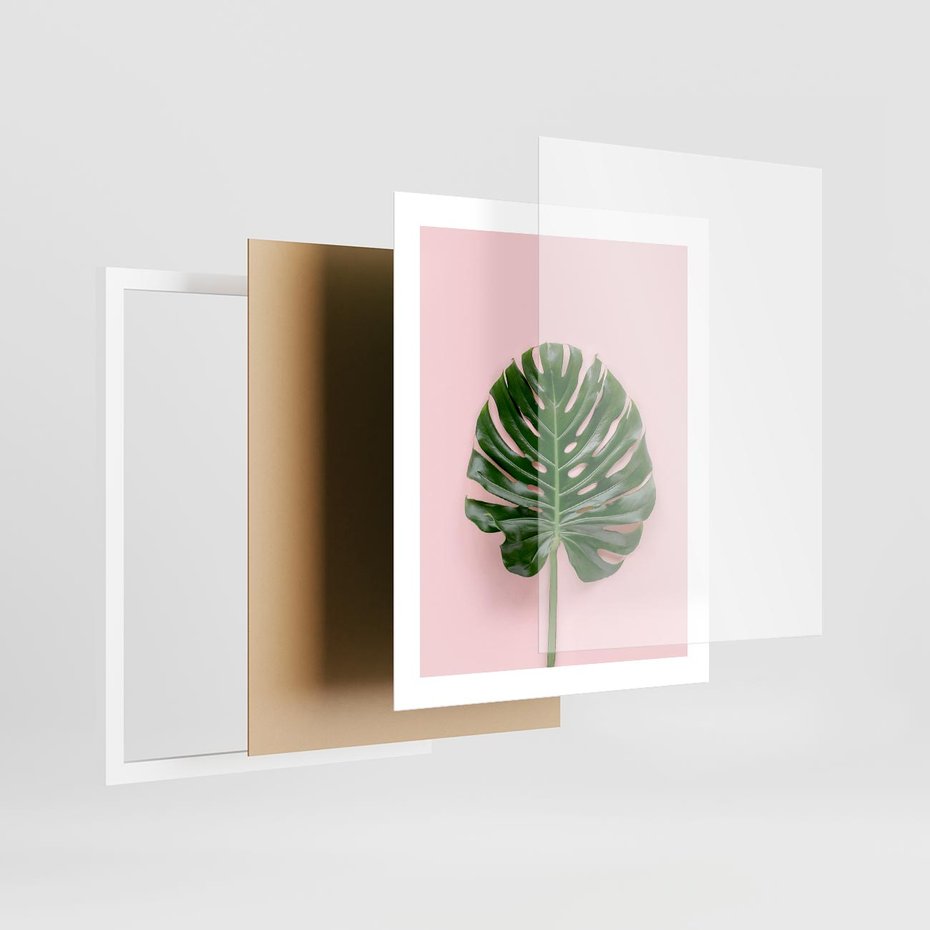 Plakat w ramie 40x50 - Egzotyczna Roślinność - liście, monstera - rama biała