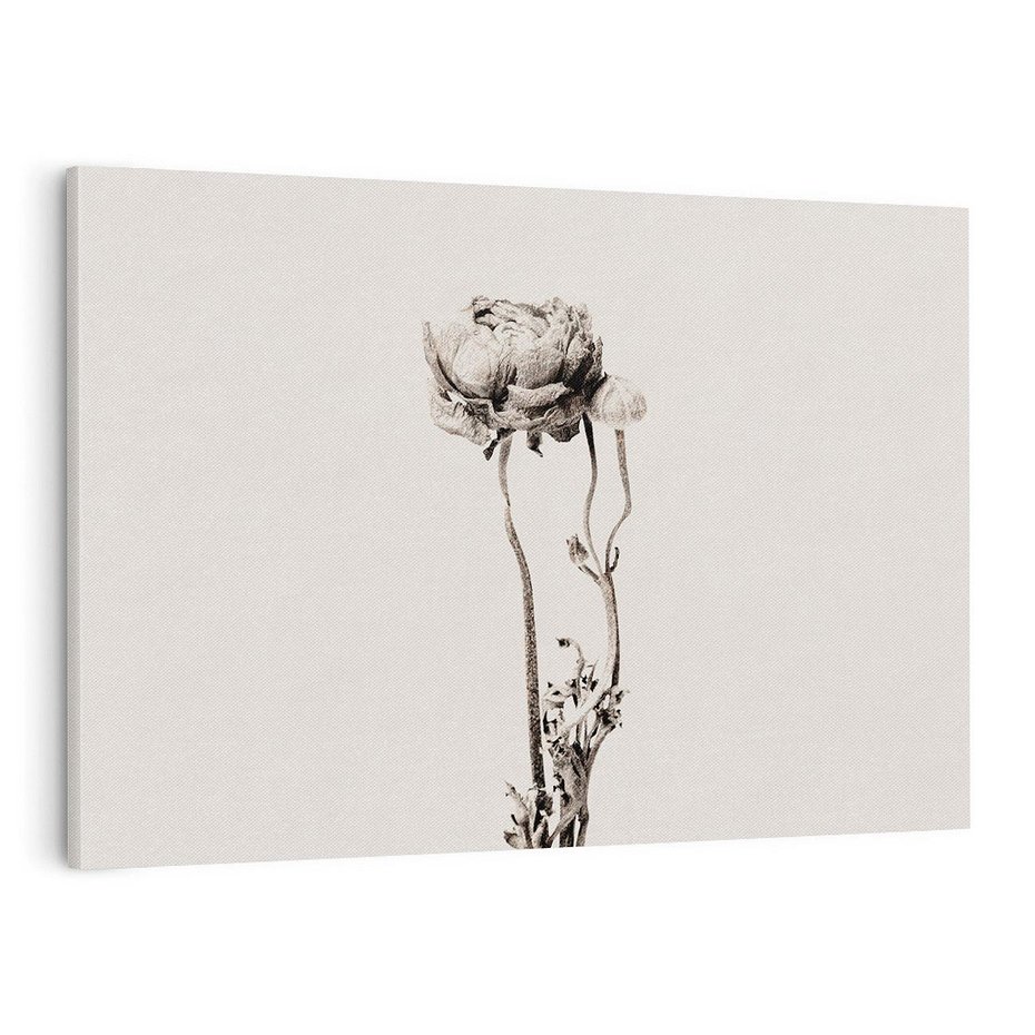 Obraz na płótnie 120x80 - Kwiatowa Symfonia w Szarościach - czarno biała odbitka, jak fotografia