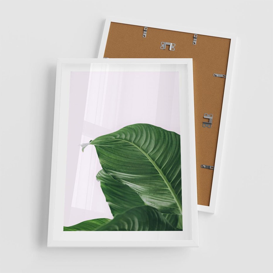 Plakat w ramie 50x70 - Zielone liście monstery - liście, monstera - rama biała