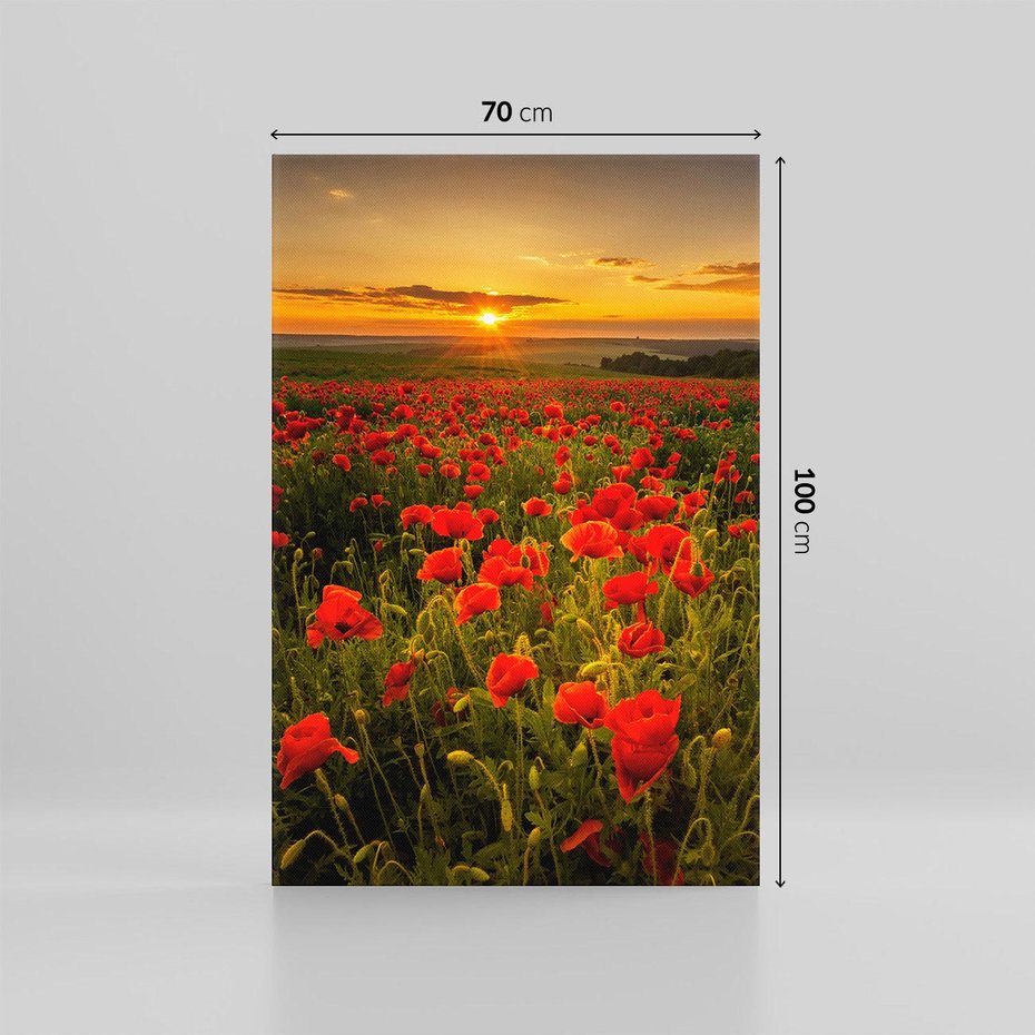 Obraz na płótnie 70x100 - Maki przy zachodzie słońca - maki, zachód