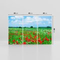 Obraz na płótnie 120x80 - Kolorowa łąka pełna maku - łąka, maki