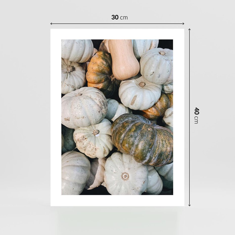 Plakat bez ramy 30x40 - Minimalizm Jesieni - dynie, białe