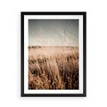 Plakat w ramie 50x70 - Sucha Trawa w Odcieniach Sepii - suche trawy, łąka odcienie beżu - rama czarna