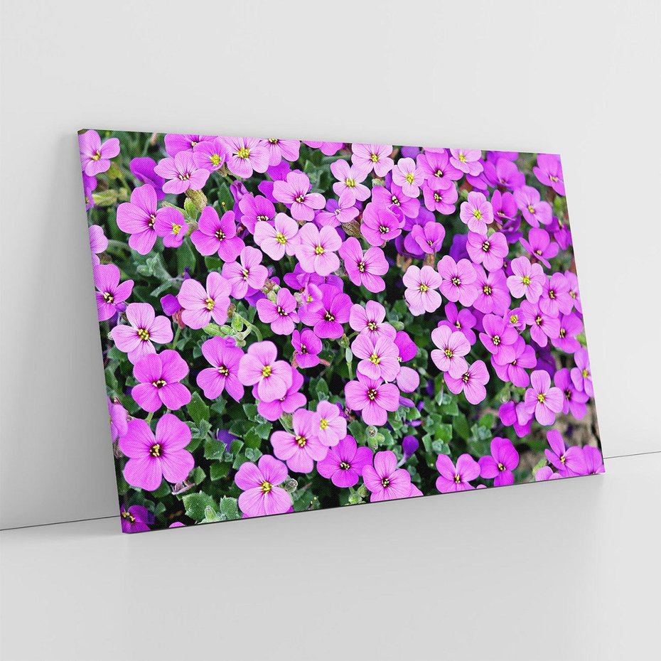 Obraz na płótnie 70x50 - Kwiatowa poezja w pastelowych odcieniach - kwiat, kwiaty