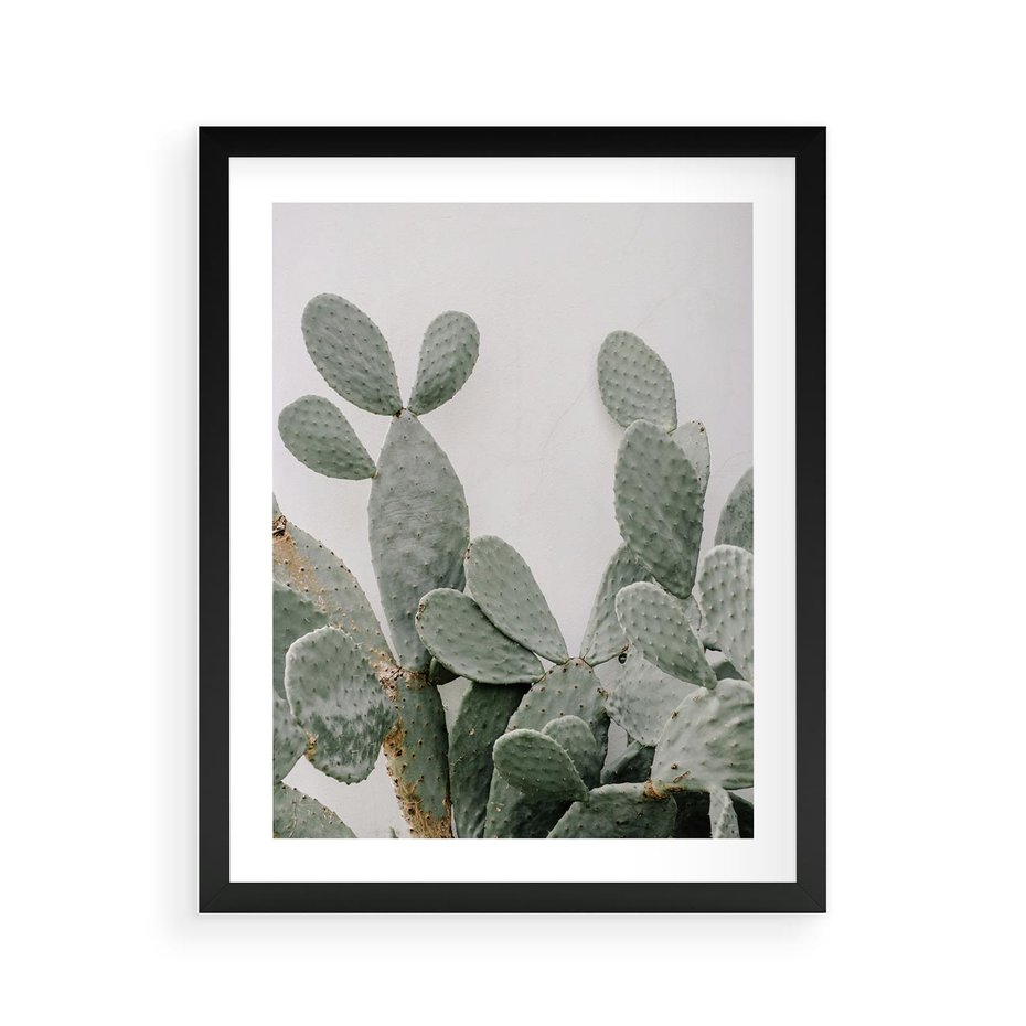 Plakat w ramie 40x50 - Imponujący Kaktus - duży kaktus, opuncja - rama czarna
