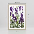 Plakat w ramie 50x70 - Fioletowa harmonia lawendy - lawenda, fiolet - rama drewno