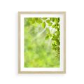Plakat w ramie 30x40 - Zielone liście natury - liści, zieleń - rama drewno