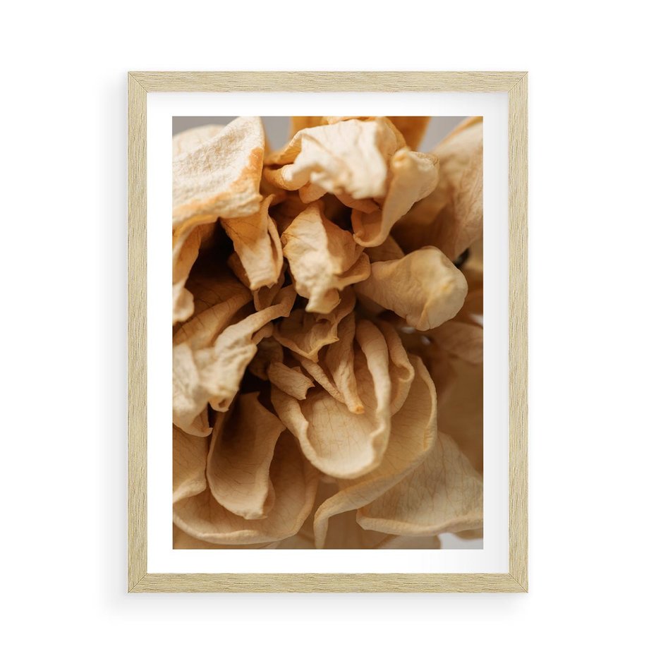 Plakat w ramie 50x70 - Zjawiskowe zasuszone kwiaty - zasuszone, kwiaty - rama drewno