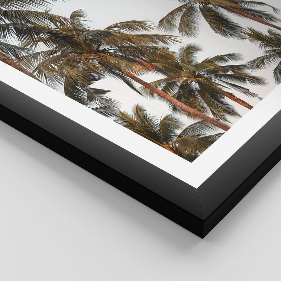 Plakat w ramie 30x40 - Palmy - tęsknota za Hawajami - palmy, Hawaje - rama czarna
