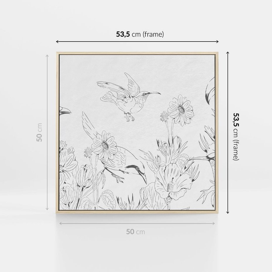 Obraz w ramie 50x50 - Tropiki w Monochromie - czarno biały szkic, tropikalne ptaki - rama drewno
