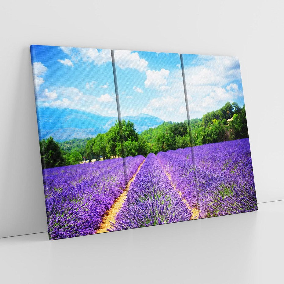 Obraz na płótnie 120x80 - Prowansalska Lawenda - lawenda, prowansja