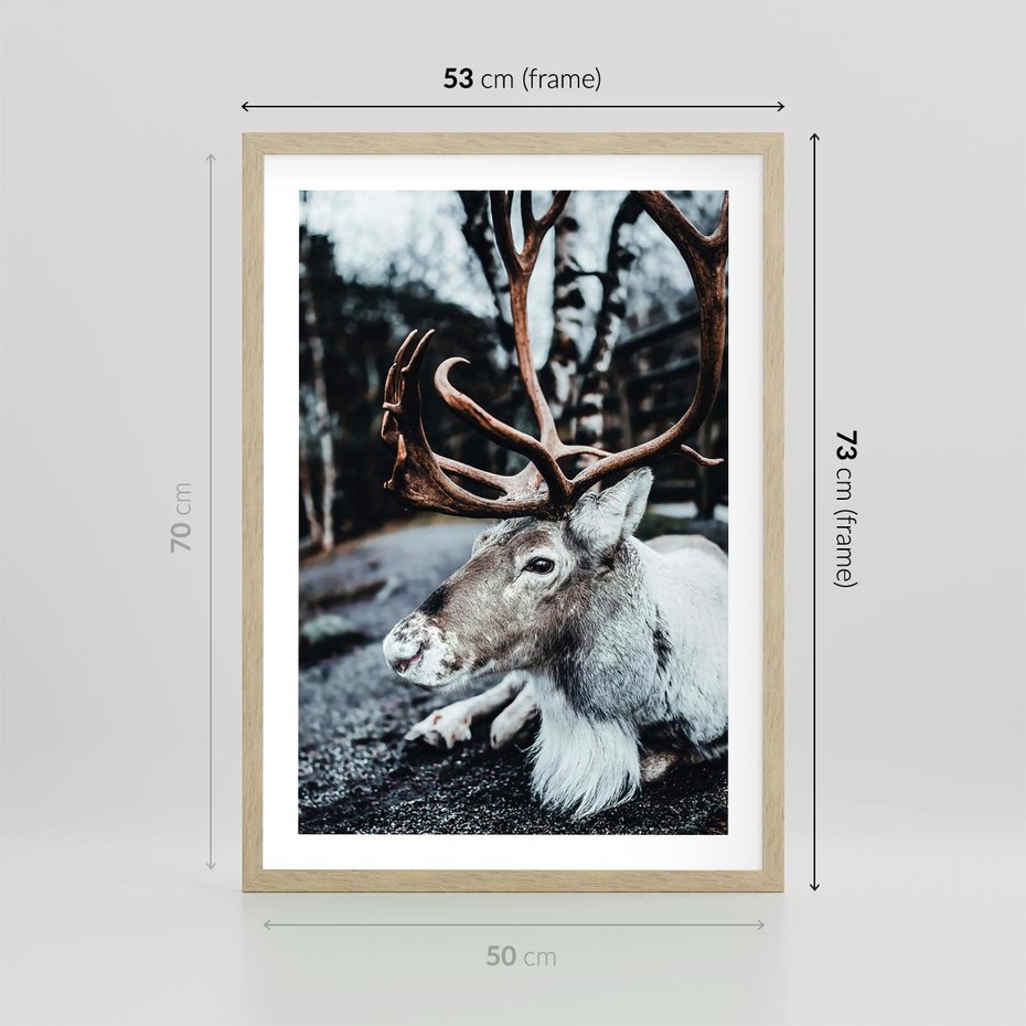 Plakat w ramie 50x70 - W Zimowej Krainie - renifer, zima - rama drewno
