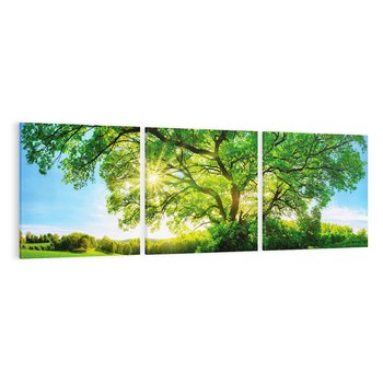 Obraz na płótnie 150x50 - Natura w pełnym rozkwicie - drzewo, niebo
