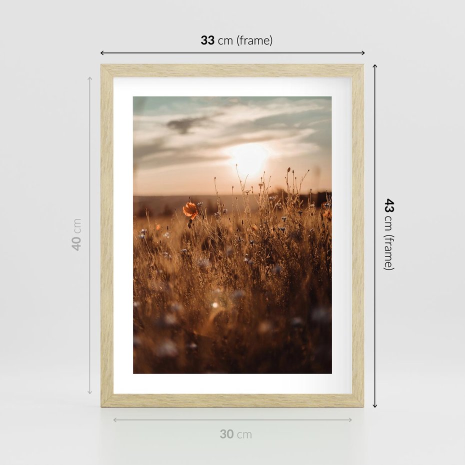 Plakat w ramie 30x40 - Zachwyt zachodem słońca na łące - zachód, słońca - rama drewno