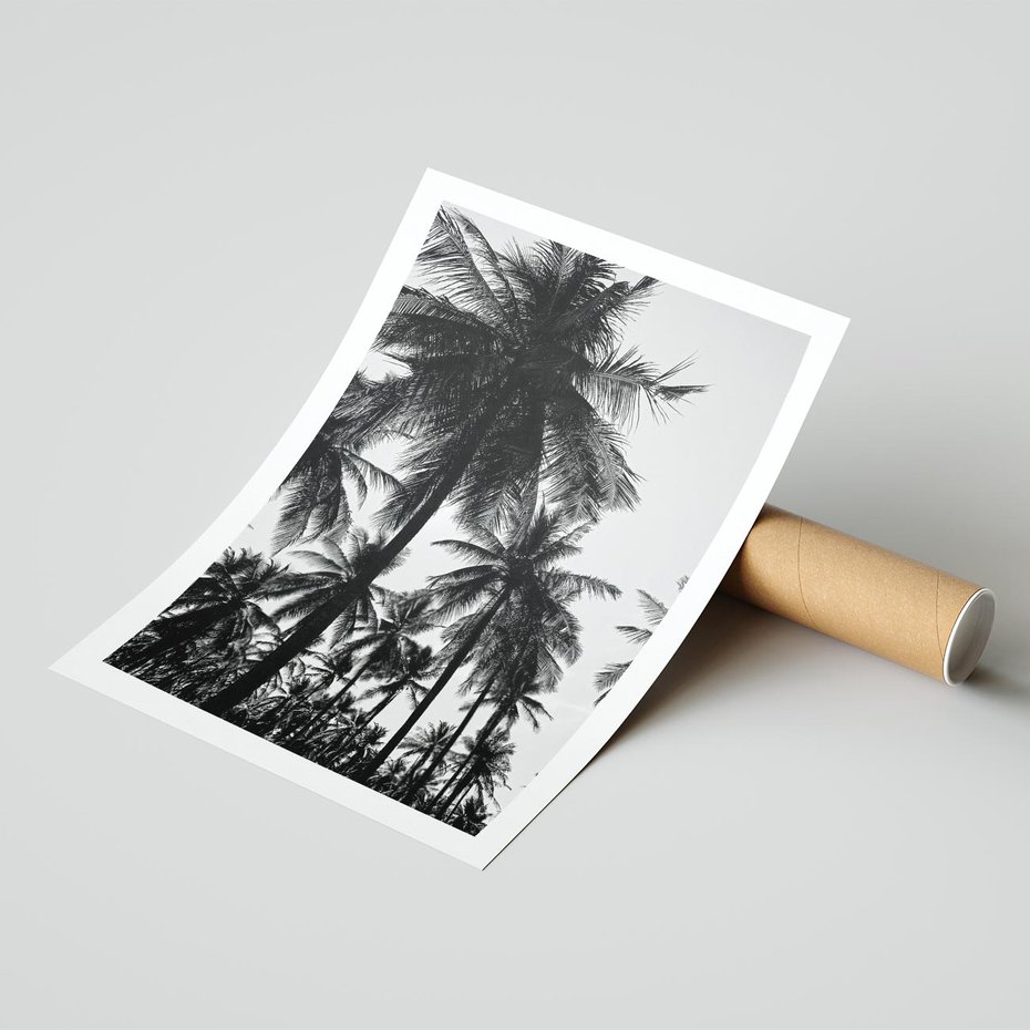 Plakat bez ramy 30x40 - Mono Tropiki - palmy, drzewa palmowe