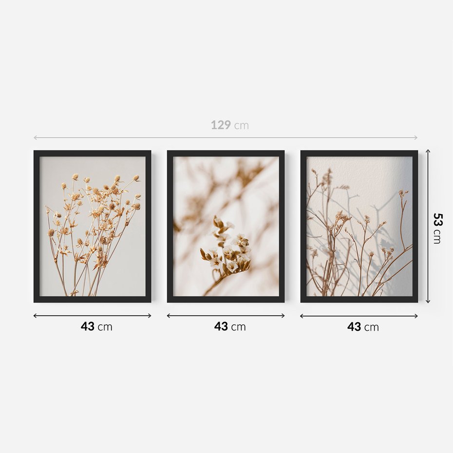 Zestaw obrazy w ramie 40x50 galeria - Suche, kwiaty, boho, trawy - rama czarna