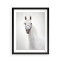 Plakat w ramie 40x50 - Elegancja białego konia - biały, koń - rama czarna