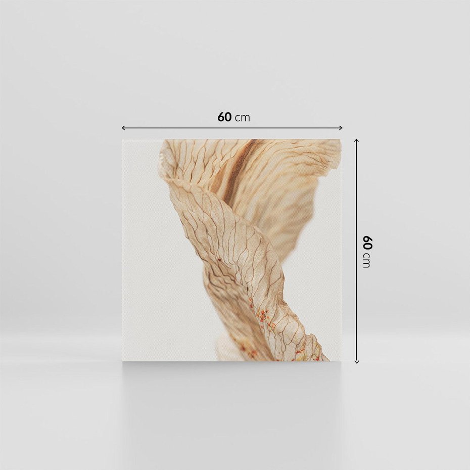 Obraz na płótnie 60x60 - Suszone piękno - susz, suche