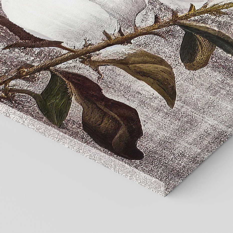 Obraz na płótnie 140x70 - Tekstura Kwiatu - białe kwiaty, duży kwiat