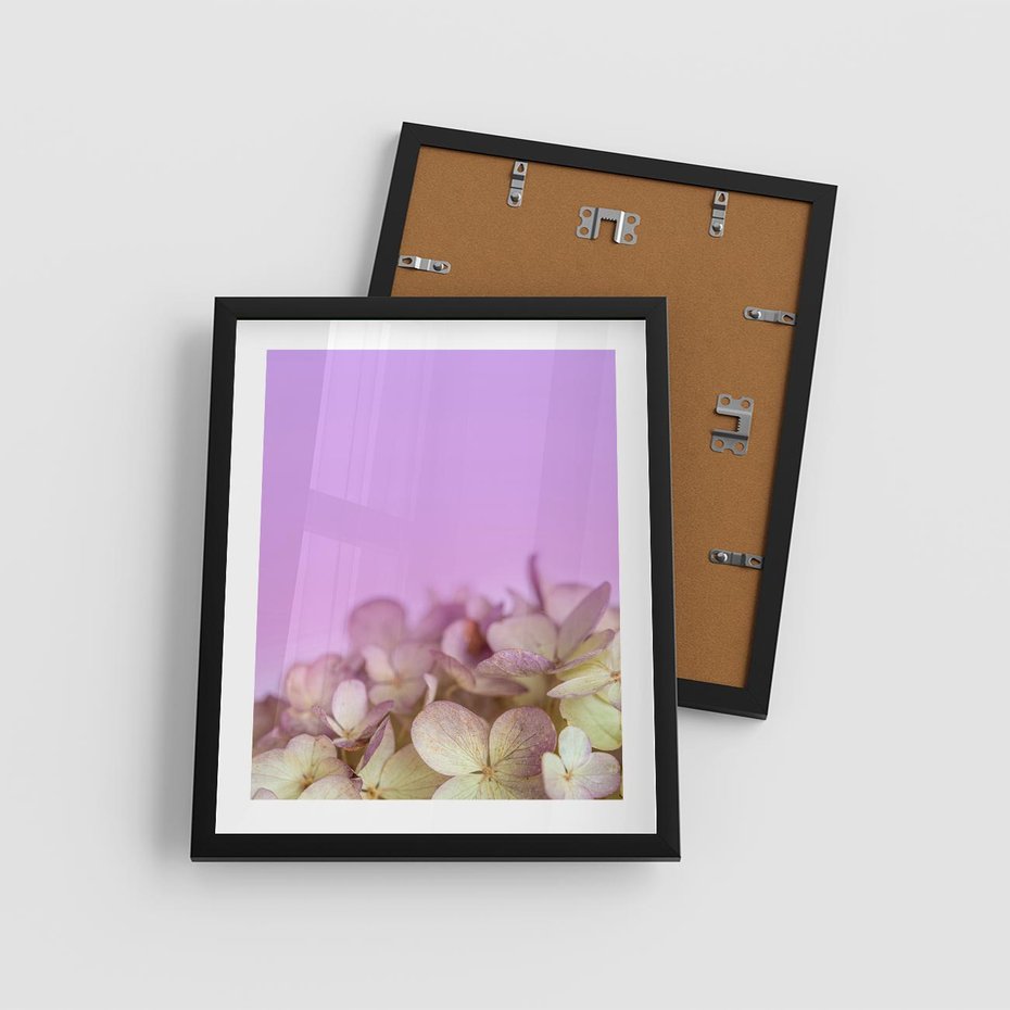 Plakat w ramie 40x50 - Kwiatowa Uroda - kwiaty, hortensje - rama czarna