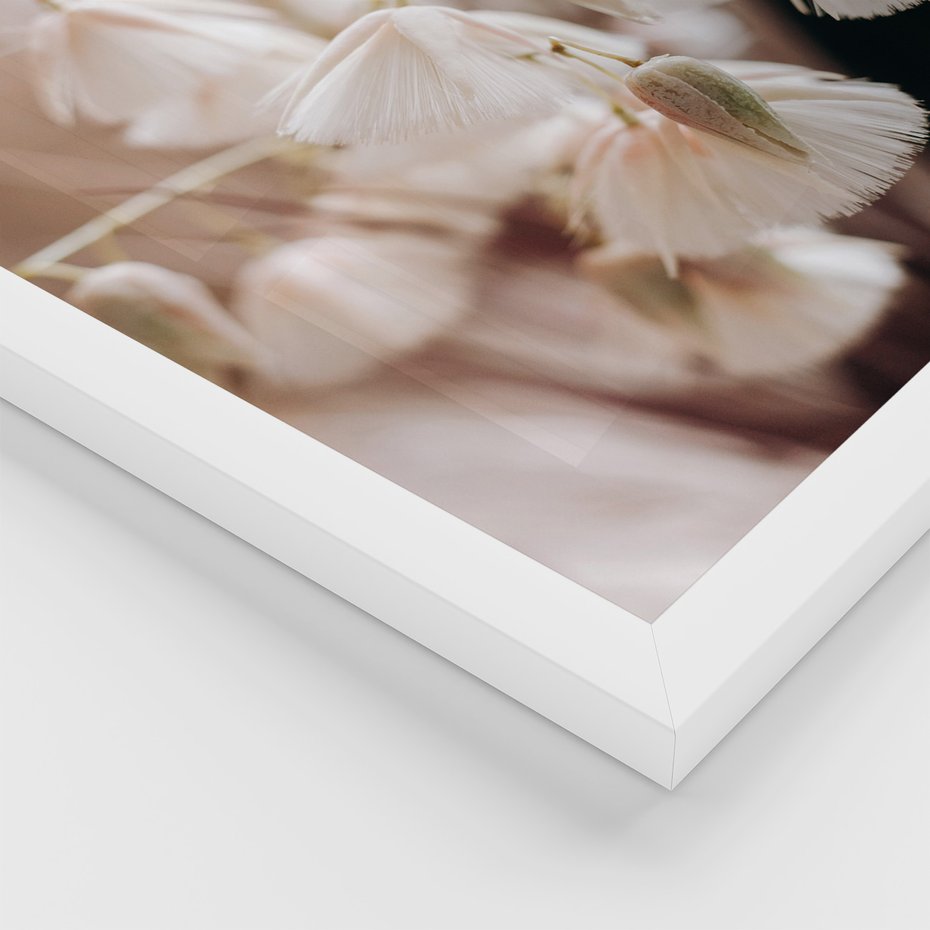 Zestaw obrazy w ramie 50x70 galeria - Suche, trawy, boho, kwiaty - rama biała