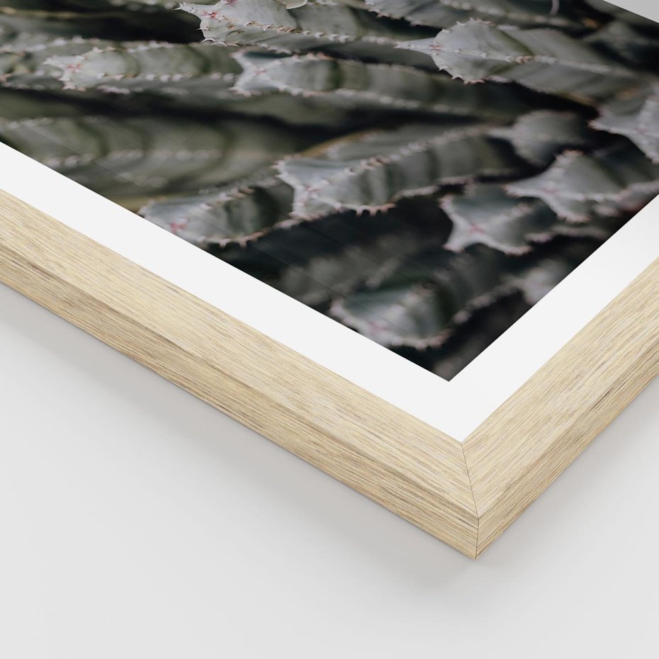 Plakat w ramie 30x40 - Boho kaktusy na pustyni - kaktusy, pustynia - rama drewno