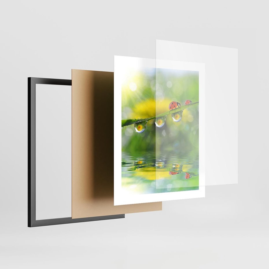 Plakat w ramie 40x50 - Deszczowa Biedronka - biedronka, deszcz - rama czarna