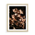 Plakat w ramie 50x70 - Hortensja - Suchy Kwiat w Sztuce - hortensja, suchy kwiat - rama drewno