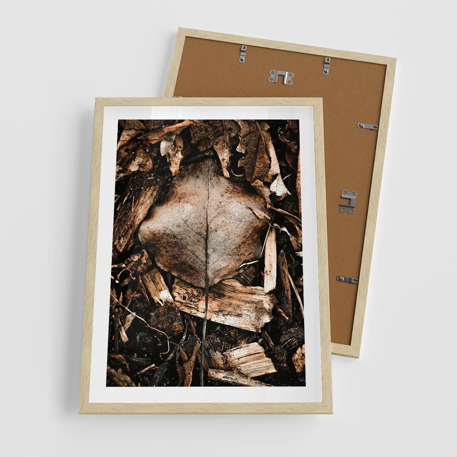 Plakat w ramie 50x70 - Samotny Liść - liść, brąz - rama drewno